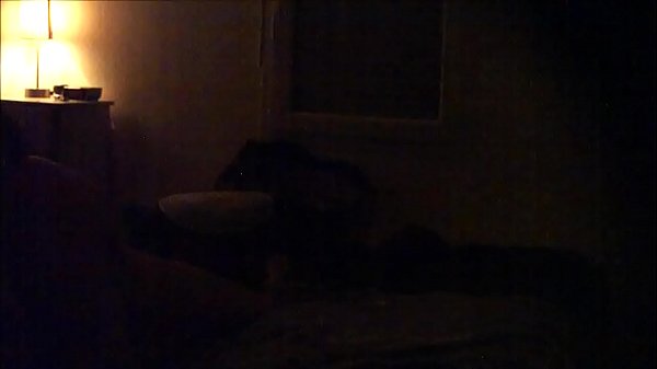Babe Arab Gemuk Seksi Nungging Dan Ngebut Di Kontol Gue, Panasnya Kebangetan.