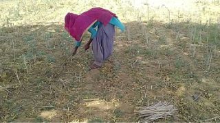 Gila, Desi Indian Pacar Ngegoblok Habis Bini Yang Lagi Sibuk Kerja Di Sawah, Sampe Muncrat Kenceng